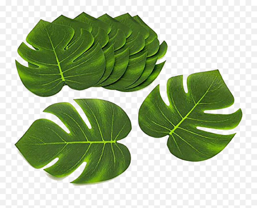 Download Hawaiian Party Decorations - Full Size Png Image Luau Leaves,Decorations Png