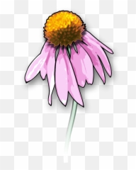 Flower2 - Dead Flowers Clipart Png,Dead Flowers Png