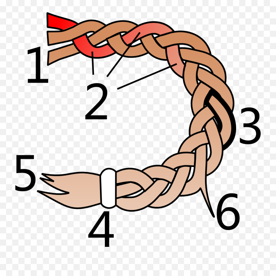 Parts Of A Hair Braid - Parts Of A Braid Png,Hair Strand Png