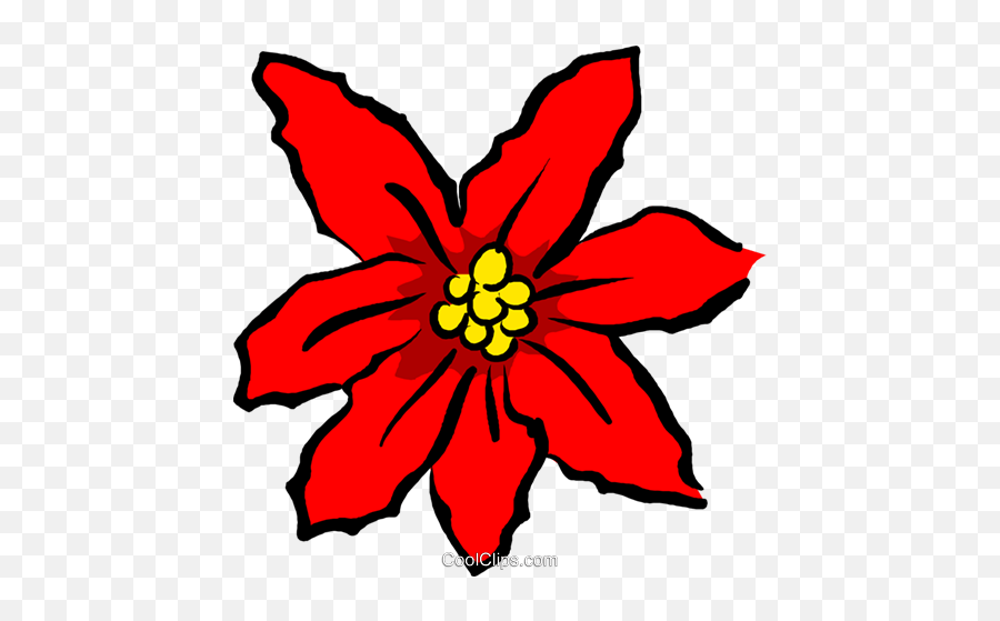 Poinsettias Royalty Free Vector Clip Art Illustration - Clip Art Png,Poinsettia Png