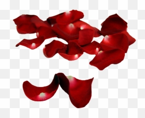 Download Rose Petals Falling Png
