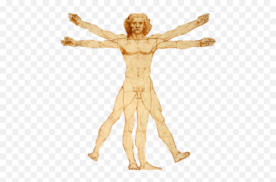 Vitruvian Man Png 7 Image - Transparent Vitruvian Man Png,Vitruvian Man Png