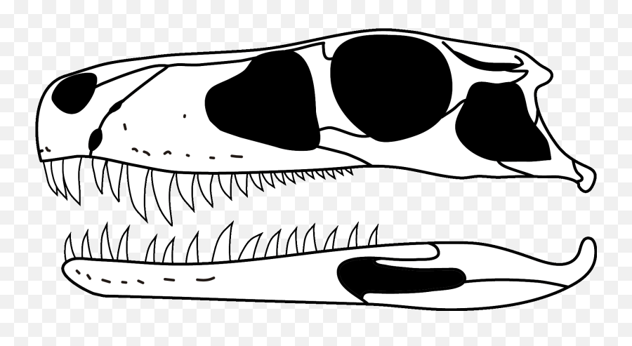 Gnathovorax Skull - Skull Png,Skull Png