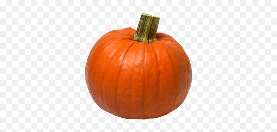 48 Pumpkin Png Images Are Free To Download - Transparent Pumpkin Png,Pumpkin Png