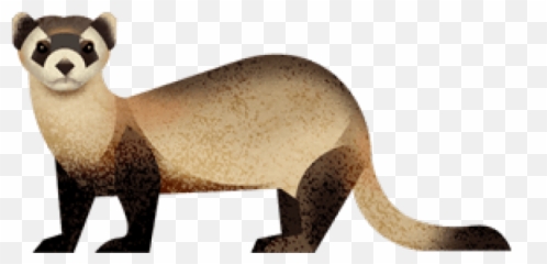 Cartoon Black Footed Ferret Png - Black Footed Ferret Transparent,Ferret Png