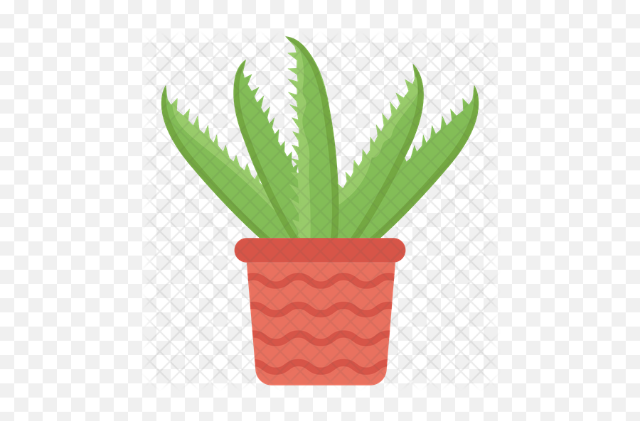 Aloe Vera Icon - Flowerpot Png,Aloe Png