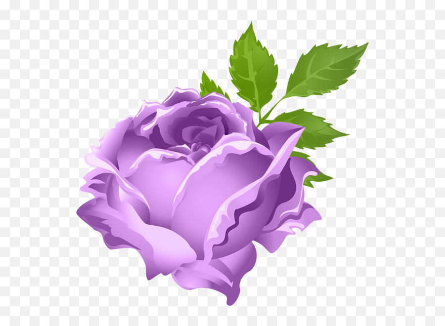 Rose Clipart Lavendar - Orange Rose Transparent Clipart Png,Purple Rose Png