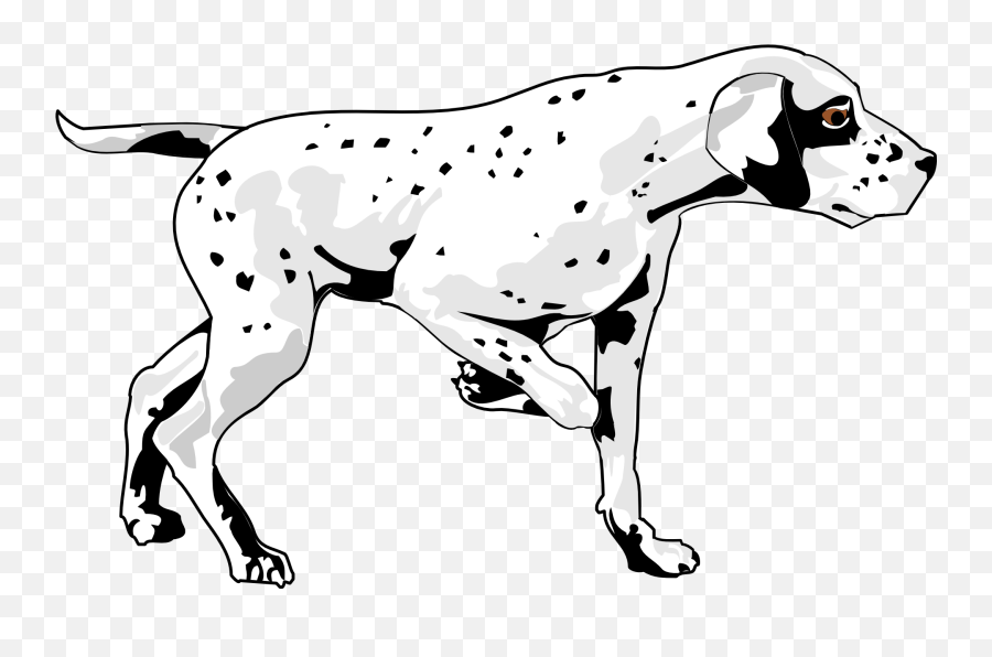 Dog Pet Walking Animal Mammal Fur Spots Breed - Dog Perro Caminado Png Animado,Dog Silhouette Png