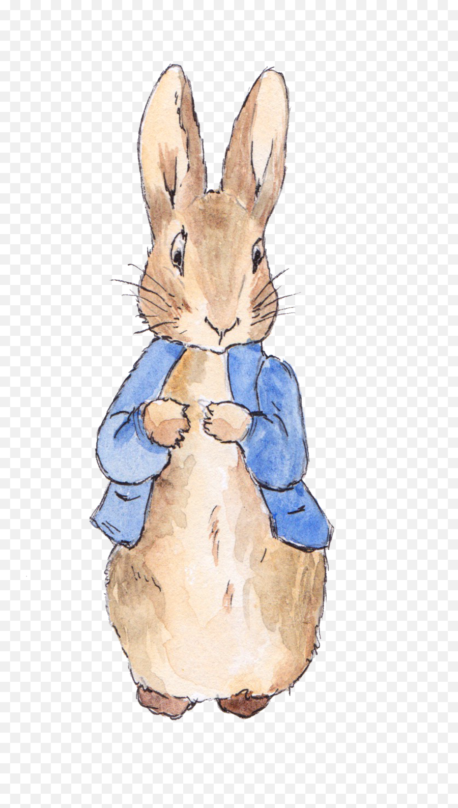 Download Watercolor Love Painted Of Invitation Tale Birthday - Transparent Peter Rabbit Png,Birthday Clipart Png