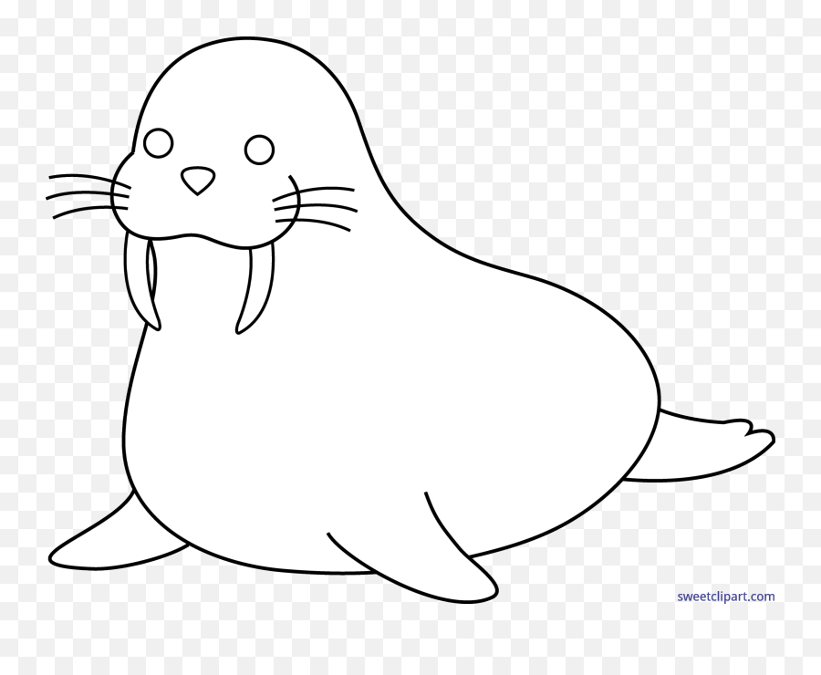 Walrus Clipart Black And White Free - Outline Images Of Walrus Png,Walrus Png