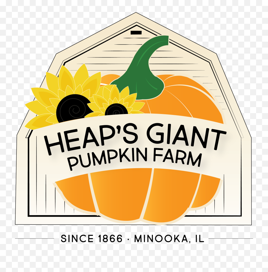 Pumpkin Farm Heapu0027s Giant Minooka Il - Clip Art Png,Cute Pumpkin Png