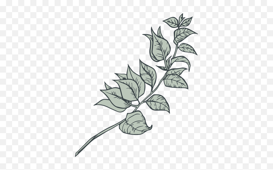 Tree Branch Leaves Hand Drawn - Transparent Png U0026 Svg Vector Hand Drawn Leaves Transparent,Tree Limb Png