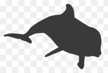 Dolphin Tail Silhouette - Transparent Png U0026 Svg Vector File Real Dolphin Transparent Background,Dolphins Png