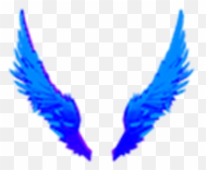Blue Flame Wings - Ailes Roblox Png,Fire Wings Png