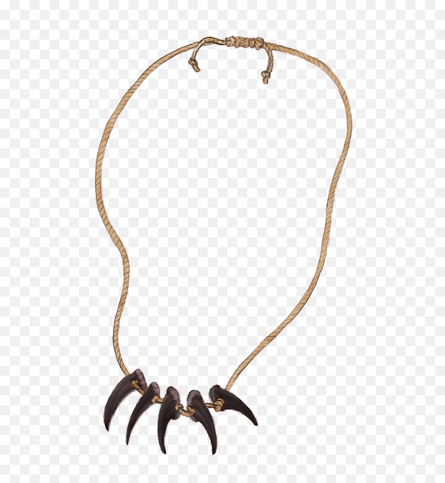 Bear Claw Necklace - Solid Png,Bear Claw Png