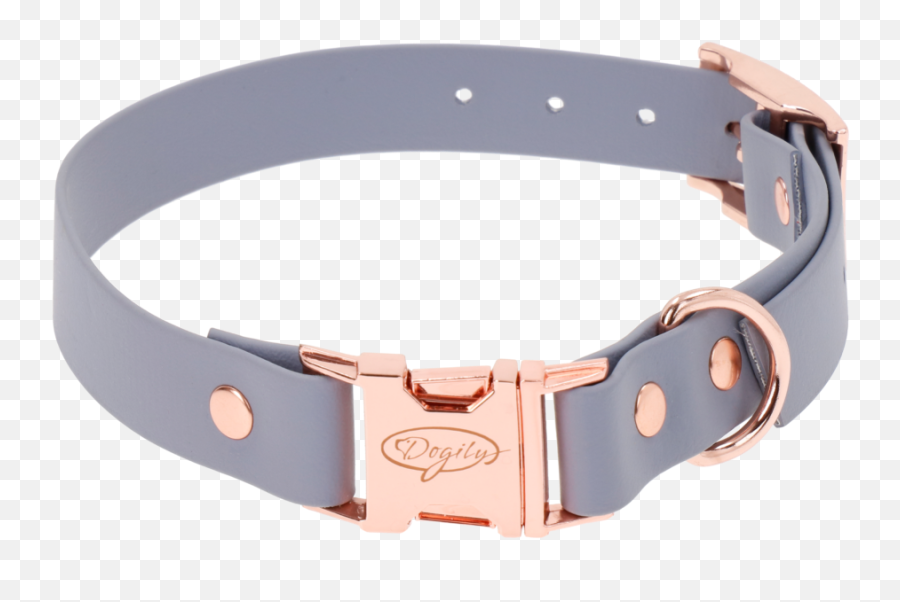 Biothane Beta Standard 1collar Waterproof Adjustable And With Quick Release Buckle - Watch Strap Png,Dog Collar Png Biothane Beta Standard 1collar Waterproof Adjustable And With Quick Release Buckle - Watch Strap Png,Dog Collar Png