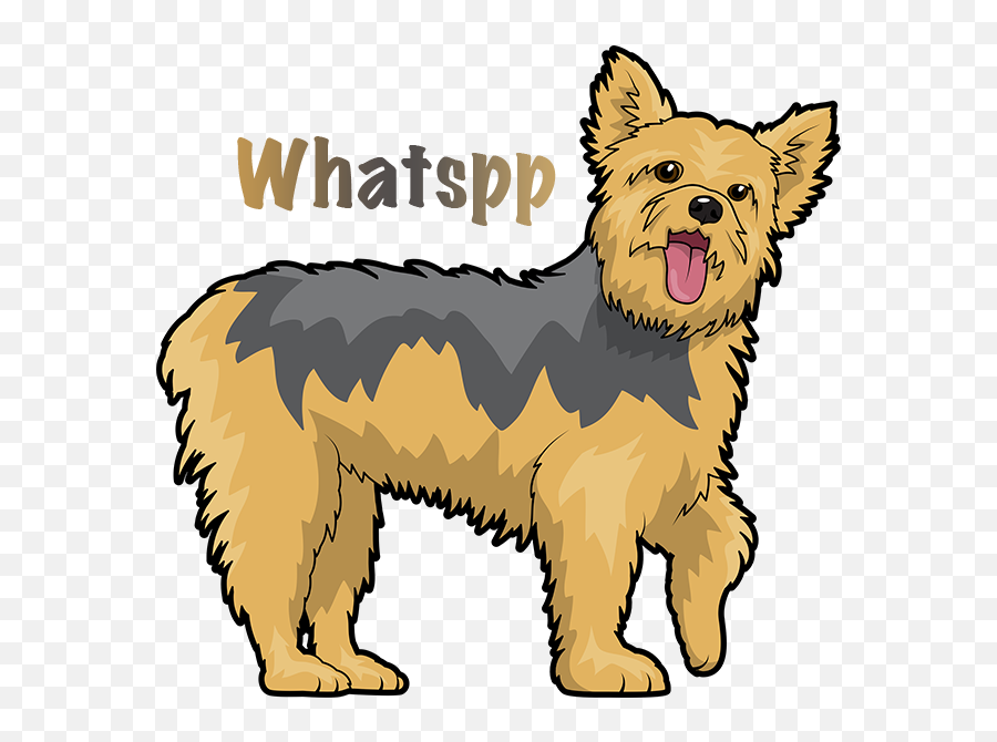 Yorkie Emojis For Dog Lovers Messages Sticker - 10 Dog Png Stickers Yorkie,Yorkie Png