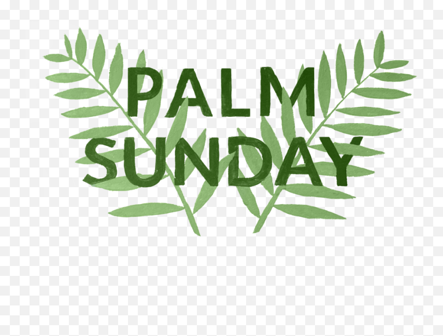 Palm Sunday Christ Church Madison - Horizontal Png,Sunday Png