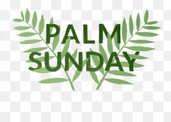 Palm Sunday Christ Church Madison - Horizontal Png,Sunday Png