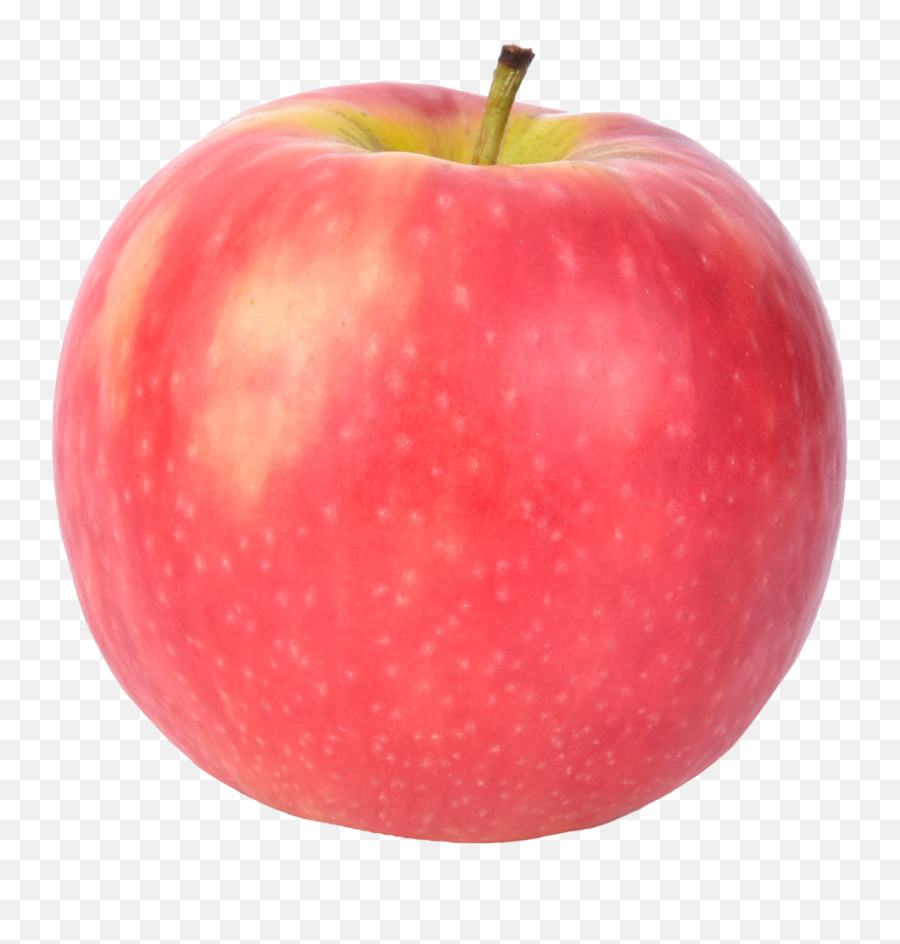 Apple Varieties - Usapple Pink Apple Png,Apples Transparent Background