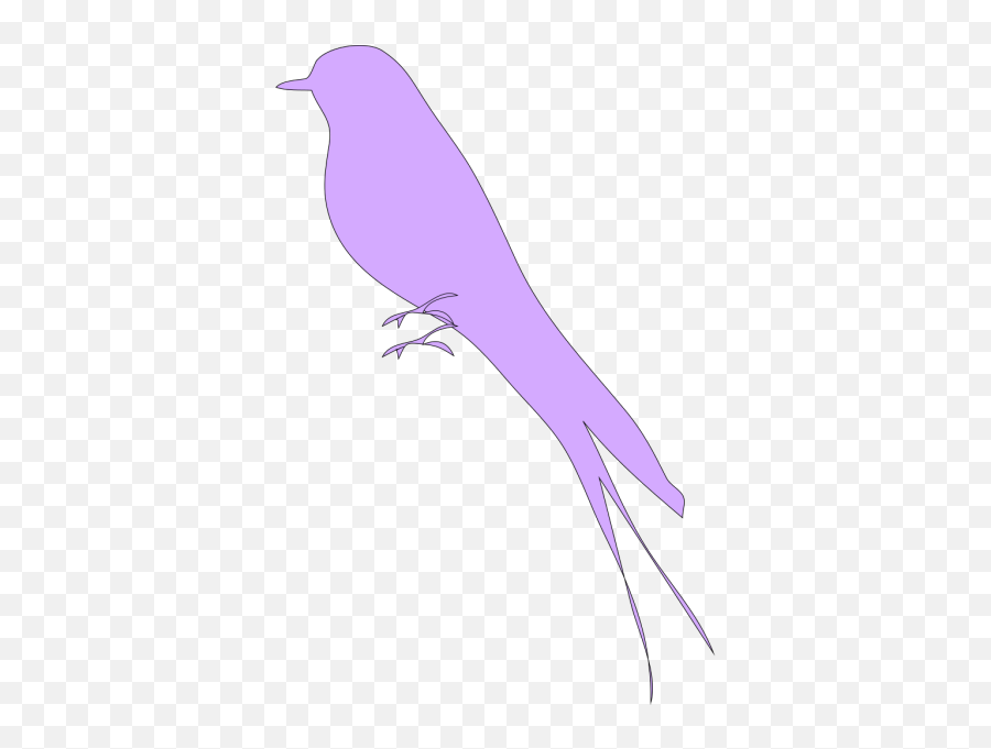 Bird With Large Feathers Png Svg Clip Art For Web - Old World Flycatchers,Feathers Png