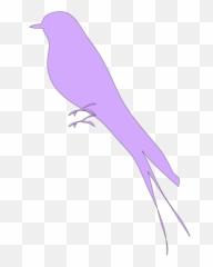 Bird With Large Feathers Png Svg Clip Art For Web - Old World Flycatchers,Feathers Png
