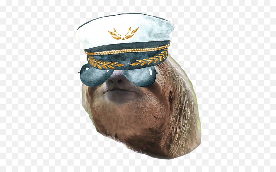 Sloth Aviator Glasses Captain Hat Sloths In Clothes T - Shirt Costume Hat Png,Captain Hat Png