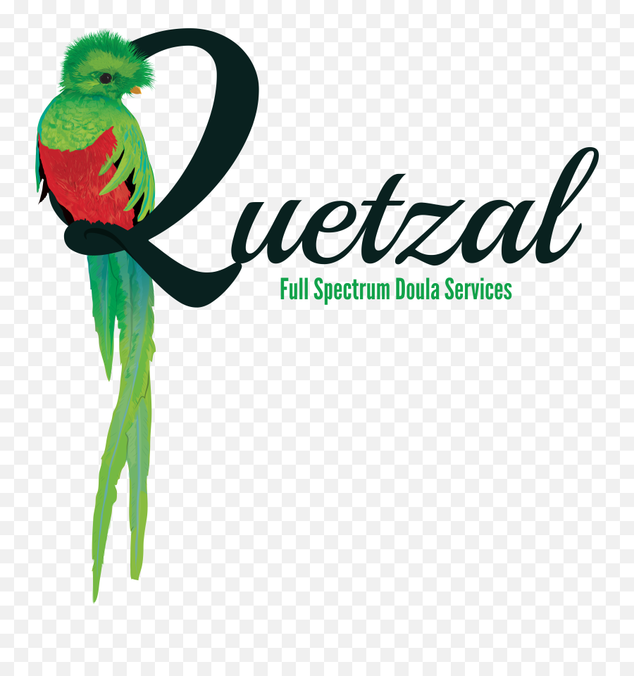 Hd Quetzal Transparent Png Image