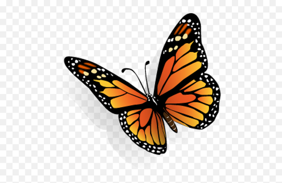 North American Butterflies - Butterfly Clipart Png,Monarch Butterfly Icon