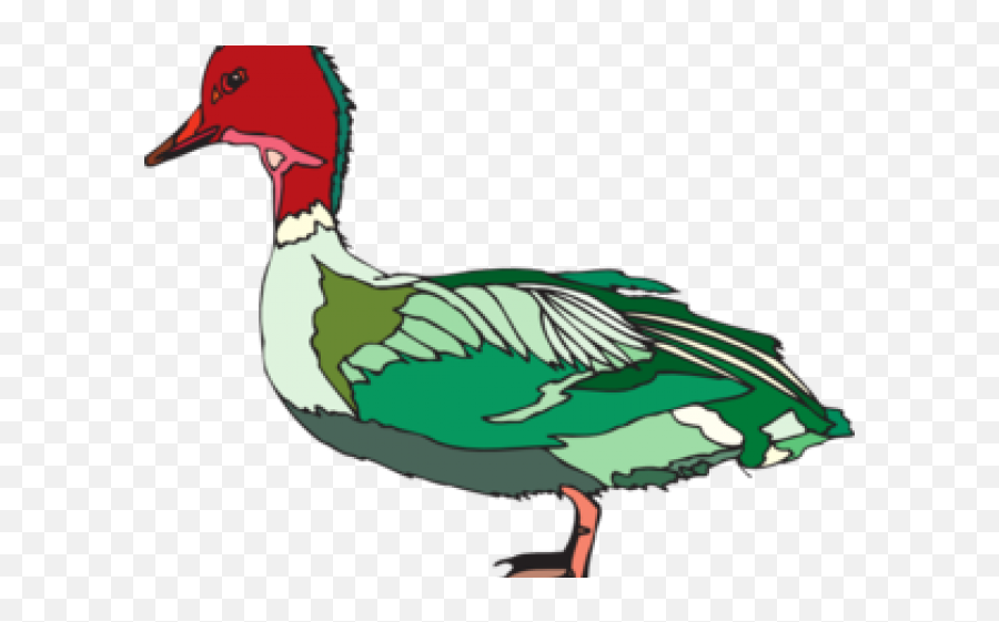 Red Duck Cliparts 8 - 298 X 243 Webcomicmsnet Red And Green Ducks Png,Duck Clipart Png