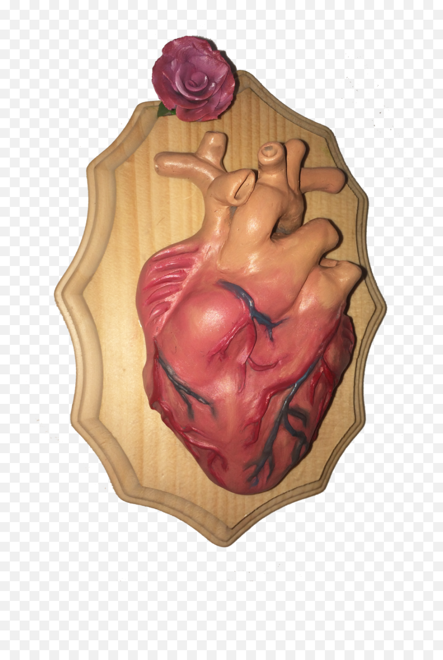3d Ameerah Singh Png Anatomical Heart