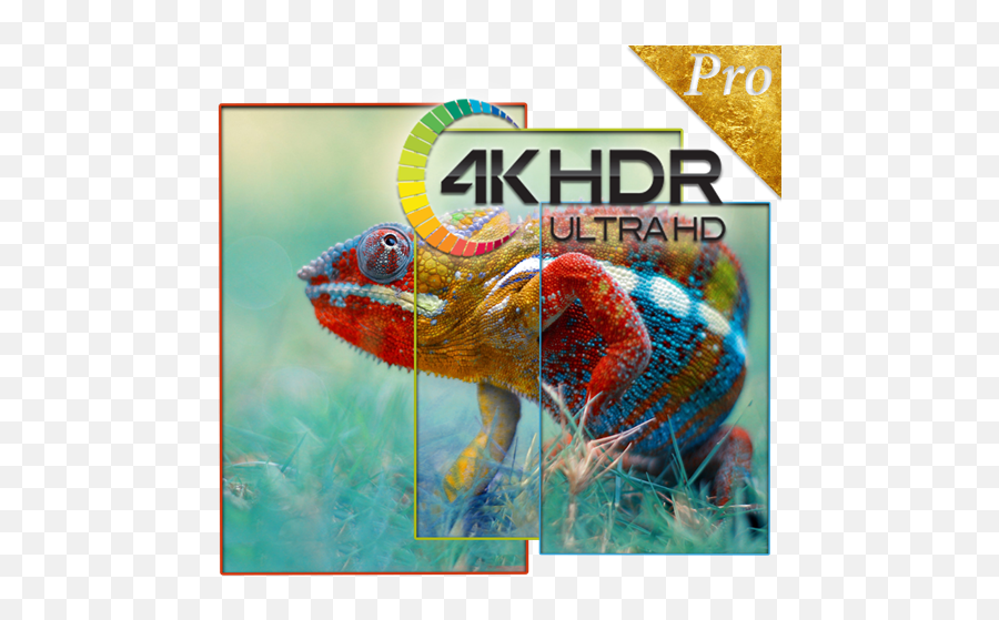 Wallpapers 4k Pro - Apps On Google Play Physics Class 11 Arihant Term 2 Png,Ultra Hd Icon