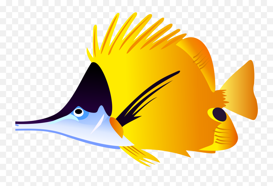 Tropical Fish Cartoon Transparent U0026 Png Clipart Free - Clipart Tropical Fish,Ocean Fish Png