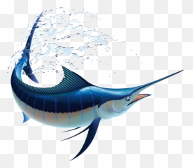 Sail Fish - Marlin Fish Png,Marlin Png