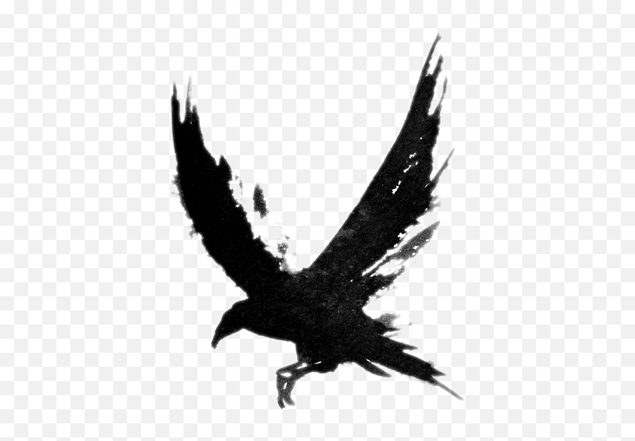Download Tattoo Crow Flying Bird Common Drawing Raven Hq Png - Nevermore Crow Tattoo,Raven Png