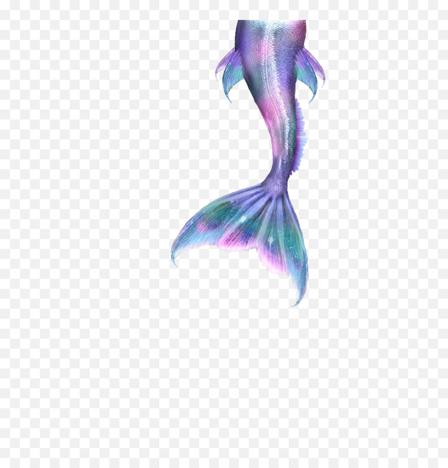 Mermaid Tails Png - Clip Art Library Transparent Mermaid Tail Png,Tails Png