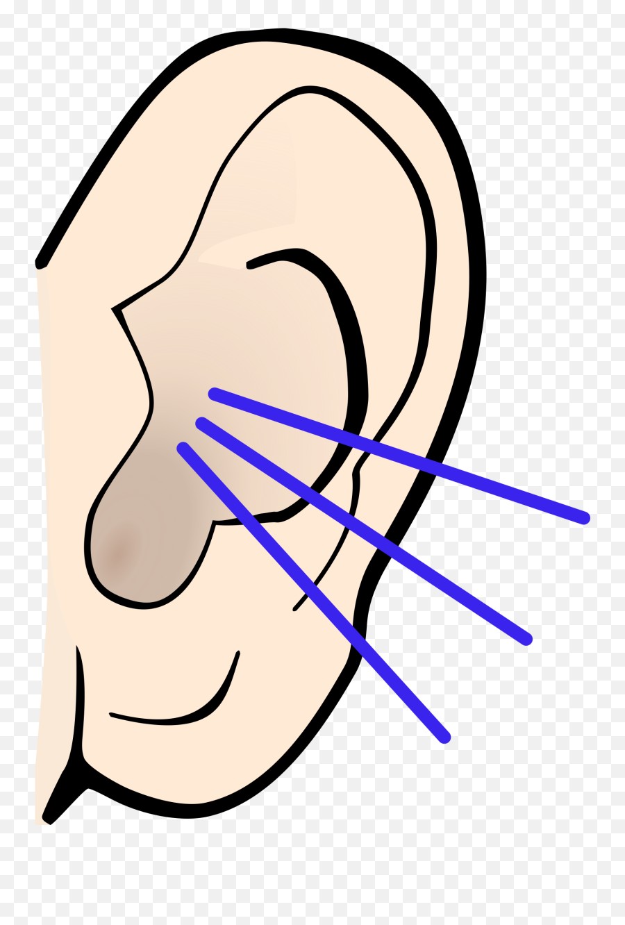 Png Ears Listening Transparent Listeningpng Images - Ear Clip Art,Ear Png
