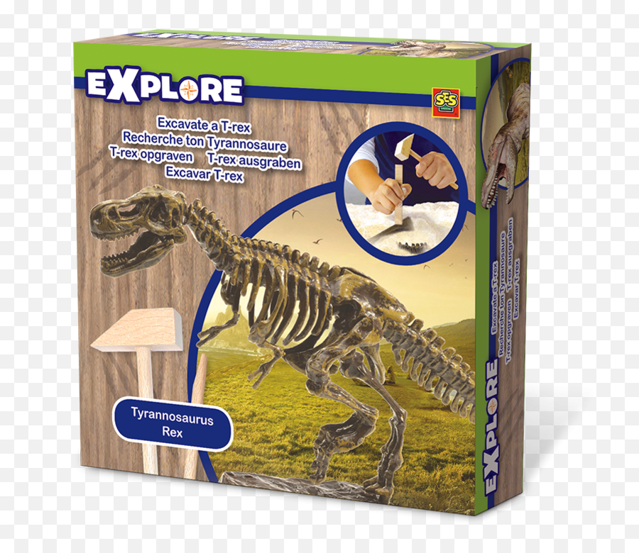 Ses Creative Excavate A T - Rex Png,Tyrannosaurus Rex Png