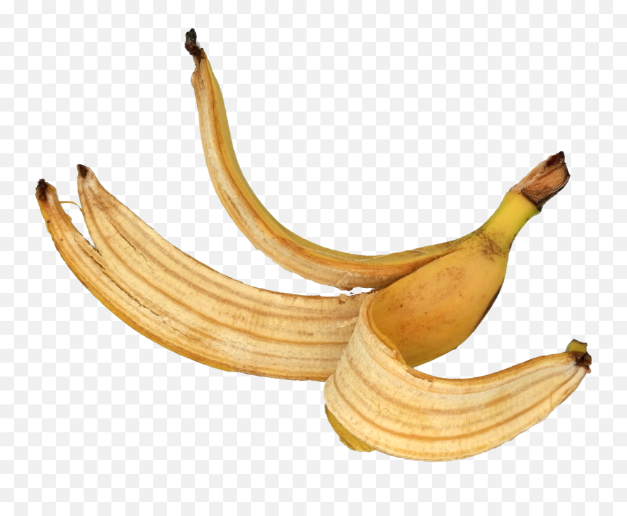 Banana - Matoke Png,Banana Transparent