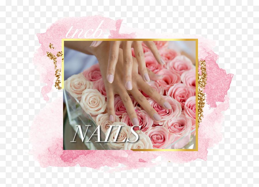 The Nail And Champagne Bar U2014 Home - Garden Roses Png,Nails Png