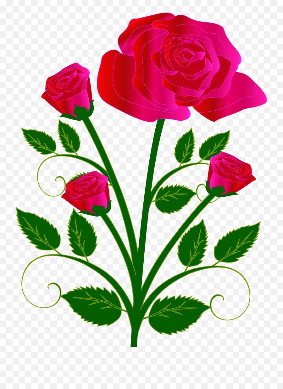 Nw83 Pink Rose Png V01 Images - Roses Drawing Easy Colored,Pink Roses Png