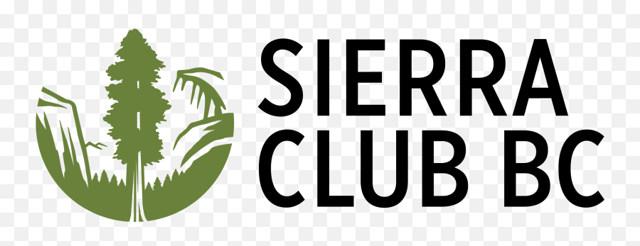 Vancouver Islandu0027s Ancient Rainforests Destroyed Three Times - Sierra Club Bc Logo Png,Rainforest Png