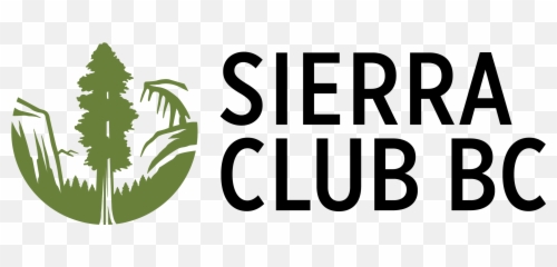 Vancouver Islandu0027s Ancient Rainforests Destroyed Three Times - Sierra Club Bc Logo Png,Rainforest Png