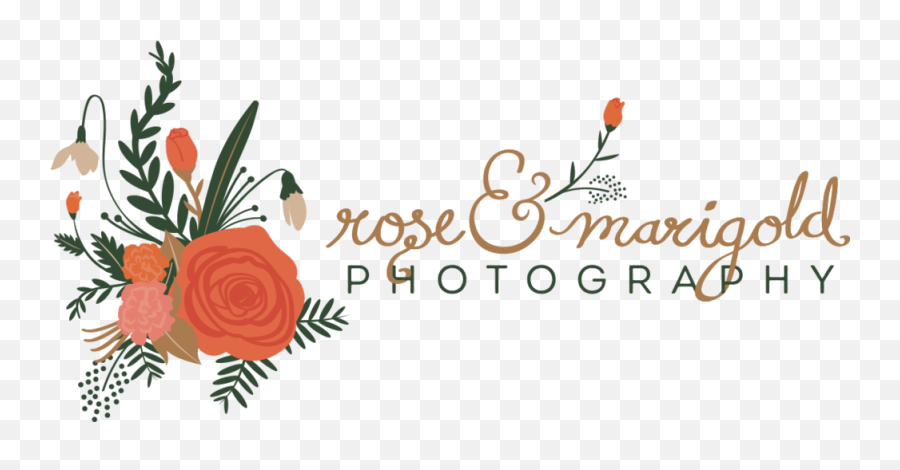 Rose U0026 Marigold Photography Png