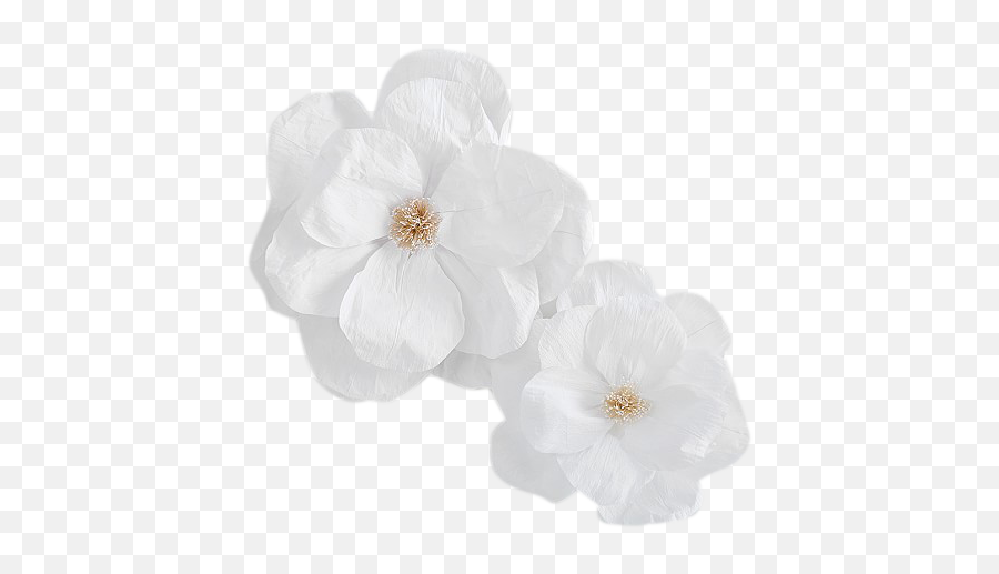 Jumbo Crepe White Paper Flowers Set Of - White Crepe Paper Flower Png,Paper Flower Png