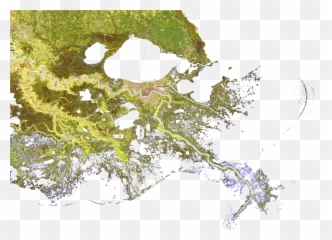 Download 500m Resolution Ground Cover Png