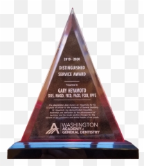 Gary E Heyamoto Dds - Professional Awards And Recognition Commemorative Plaque Png,Academy Award Png