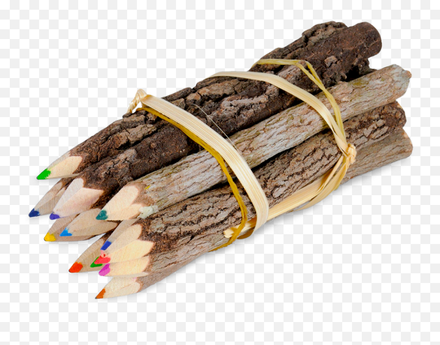 Website Category Image Children - Marking Tool Png,Driftwood Png