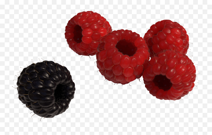Black Raspberry Png Image For Free Download - Raspberry,Raspberry Png
