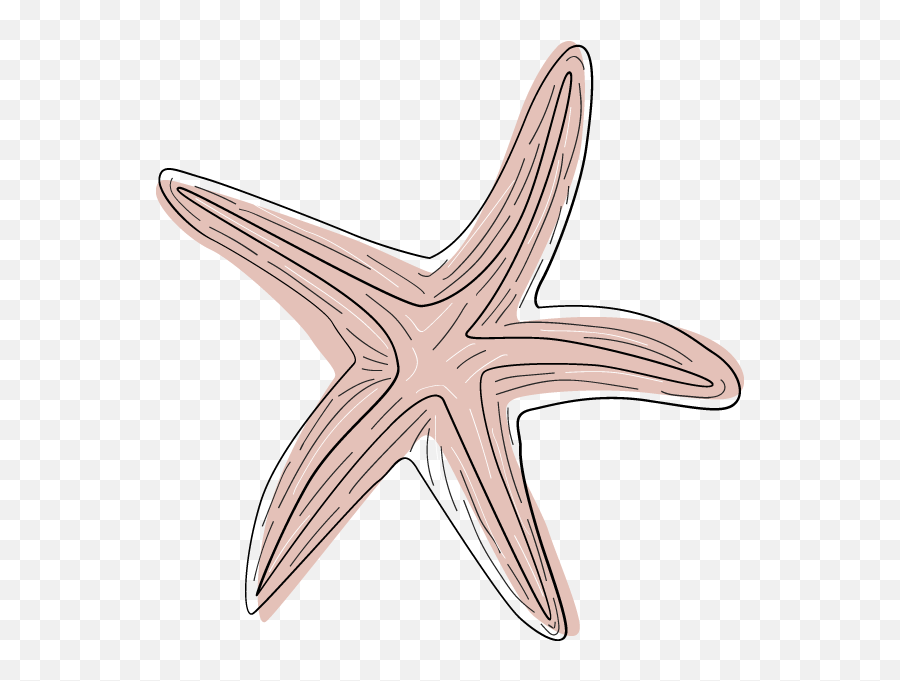 Transparent Pink Starfish Clipart - Portable Network Graphics Png,Starfish Clipart Transparent Background
